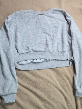 feathers Light Gray Cozy Pullover Sweatshirt